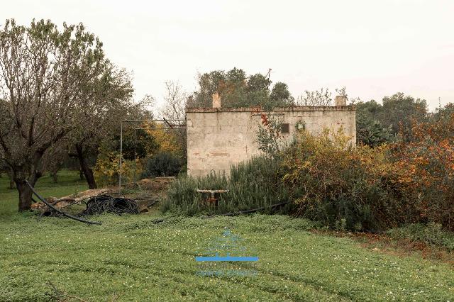 Country house or cottage in Contrada Lamacoppa , Ostuni - Photo 1