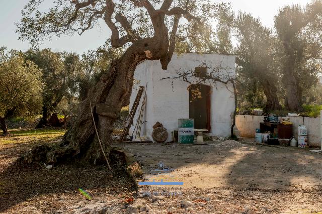 Einfamilienhaus in Contrada Malandrino, Ostuni - Foto 1