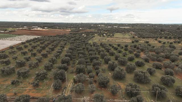 Baugrundstück in {3}, Contrada Sierri - Foto 1