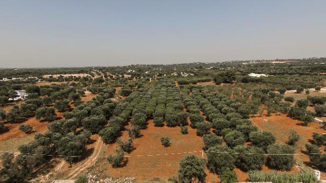 Building land in {3}, Contrada Santo Scalonesanto Scalone Snc - Photo 1