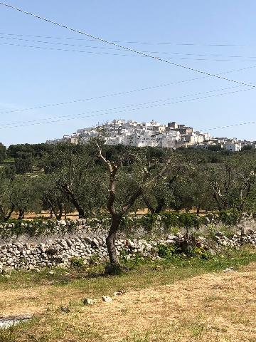 Casa indipendente in Contrada Malandrino, Ostuni - Foto 1