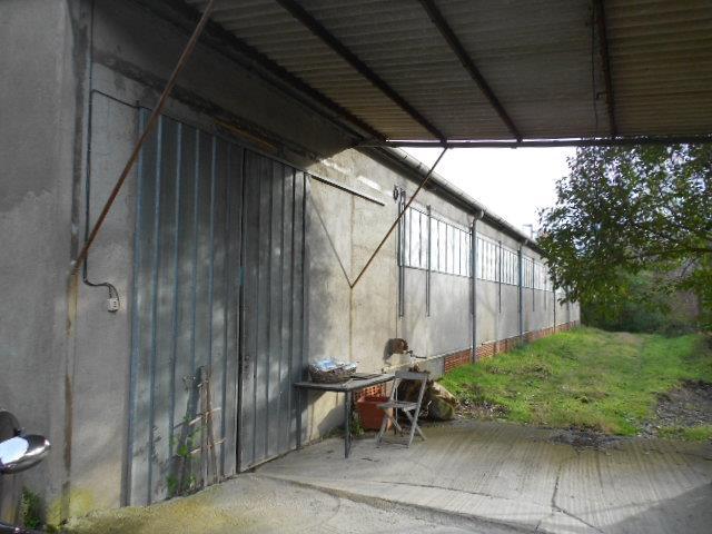 Magazzino in , Tuscania, {3} - Foto 2