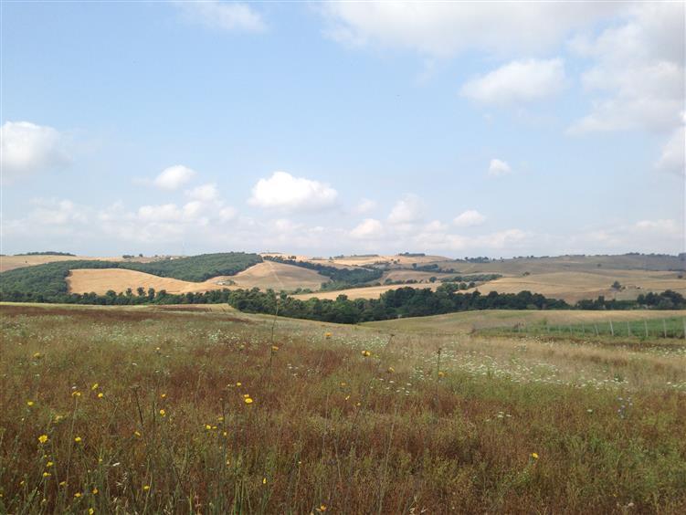 Terreno agricolo in vendita a Tuscania