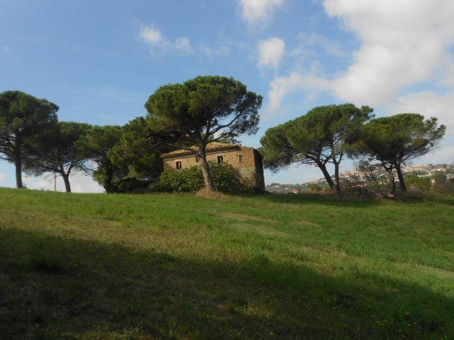 Country house or cottage, Montefiascone - Photo 1