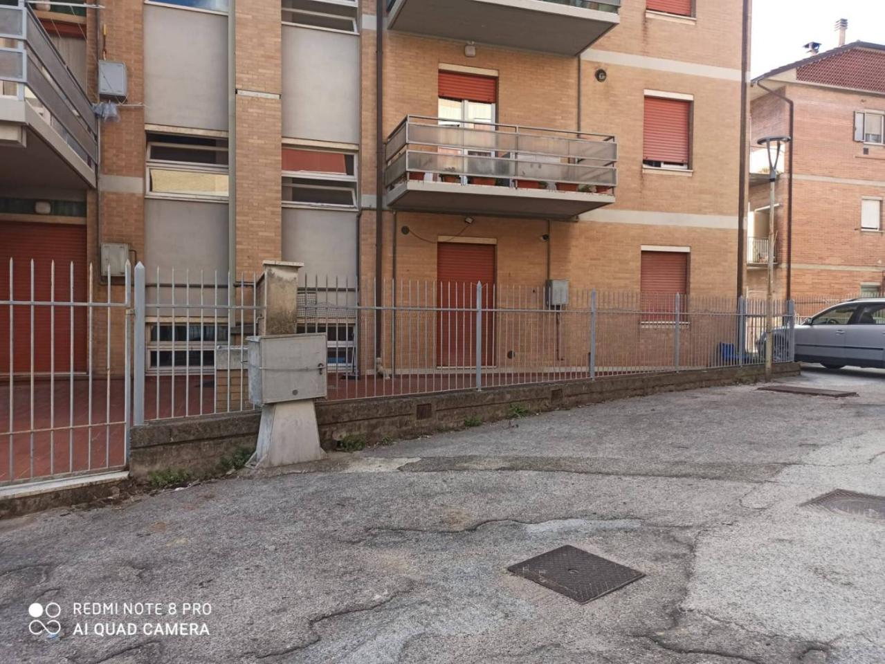 immagine annuncio 3 di 8