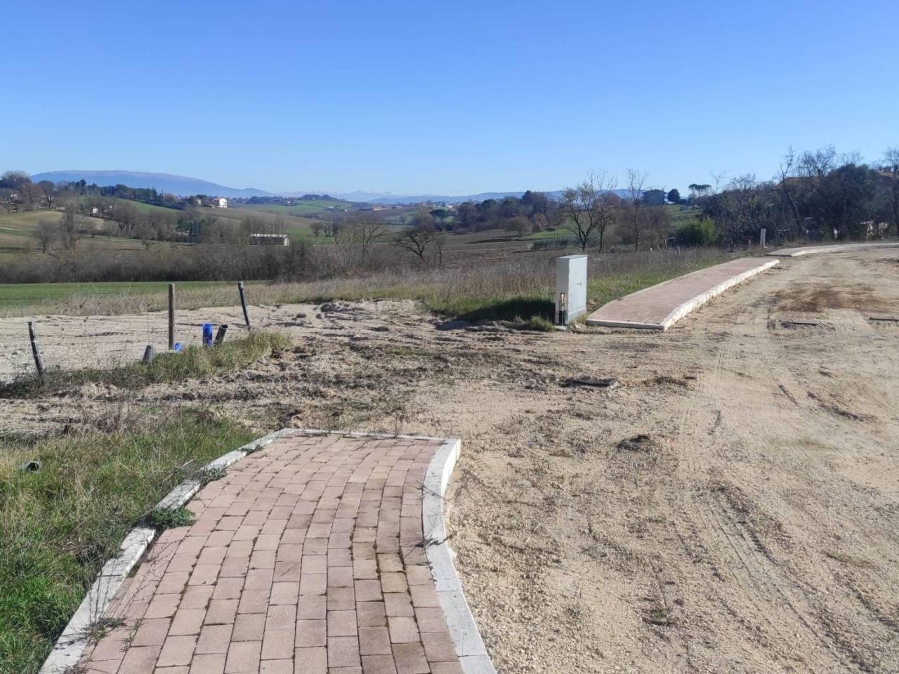 immagine annuncio 2 di 8
