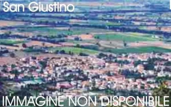 Negozio in Viale Toscana, San Giustino, {3} - Foto 1