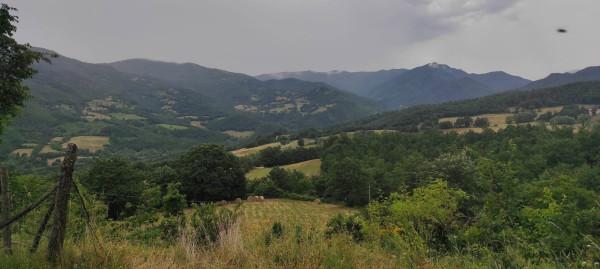 Negozio in Località Cercetole, Pieve Santo Stefano, {3} - Foto 1