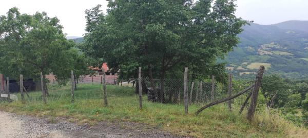 Negozio in Località Cercetole, Pieve Santo Stefano, {3} - Foto 2