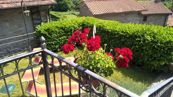 Albergo in Strada Comunale della Montagna 44, Sansepolcro - Foto 1