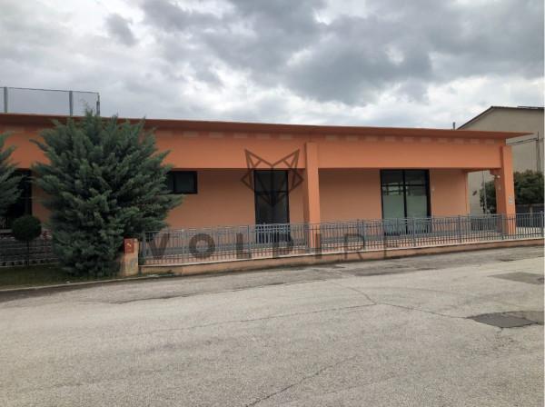 Negozio in Via Stazione 50, Cannara, {3} - Foto 1