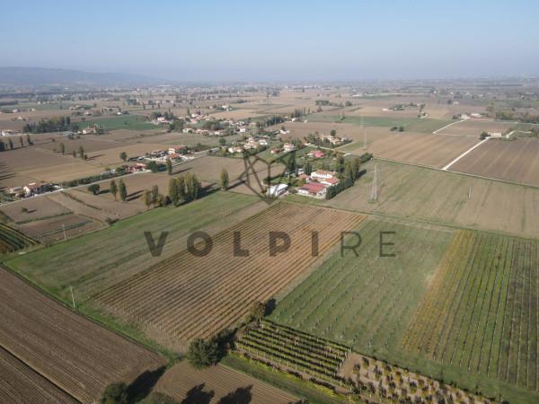 Azienda agricola in Via Limiti 9, Spello, {3} - Foto 2