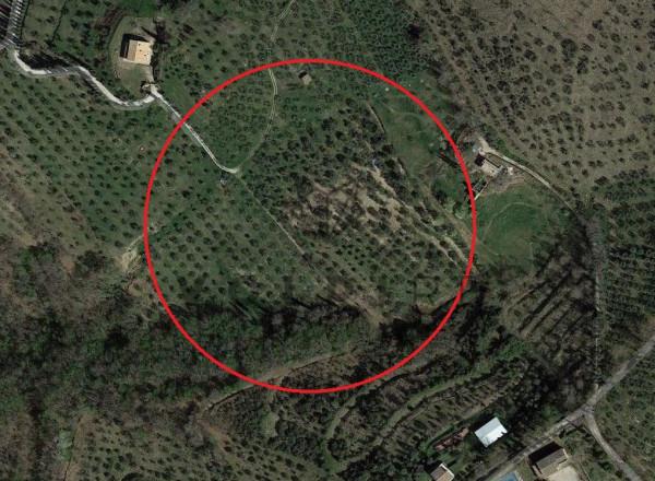 insertion image