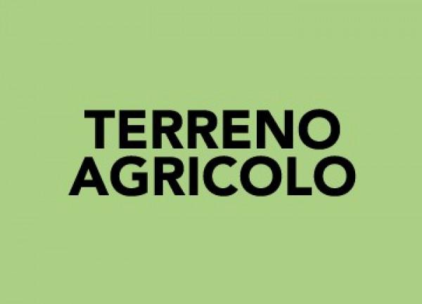 Terreno agricolo in vendita a Bettona