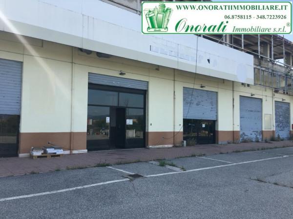 Capannone, Guidonia Montecelio - Foto 1