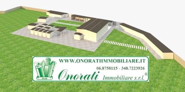 immagine annuncio 7 di 9
