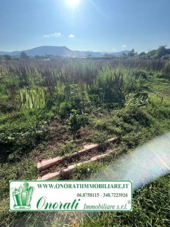 immagine annuncio 5 di 6