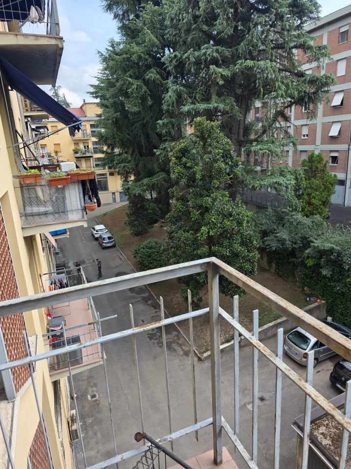 immagine annuncio 5 di 7