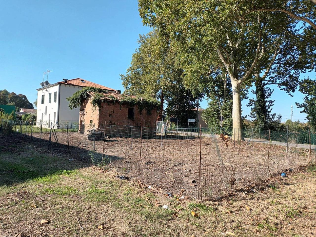 immagine annuncio 4 di 13