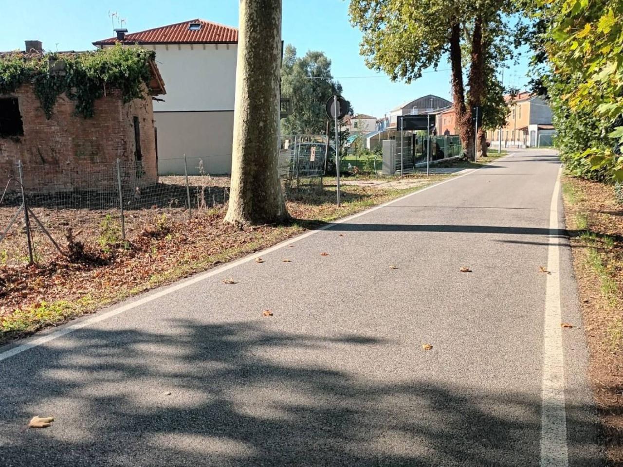 immagine annuncio 6 di 13