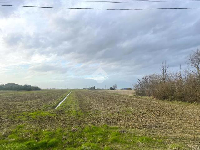 Agricultural land in {3}, Via della Marginata - Photo 1