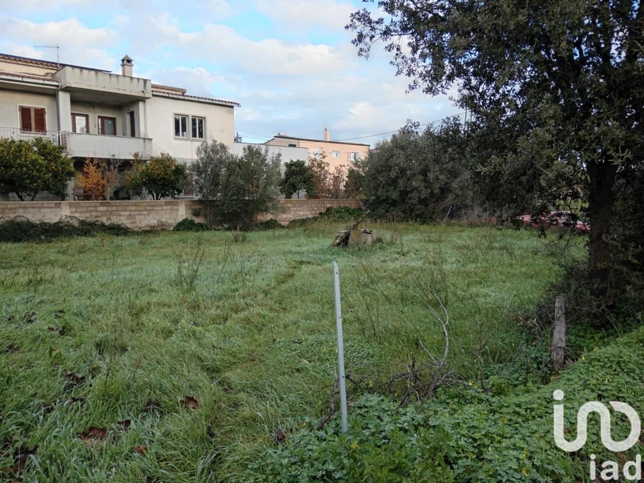 immagine annuncio 5 di 9