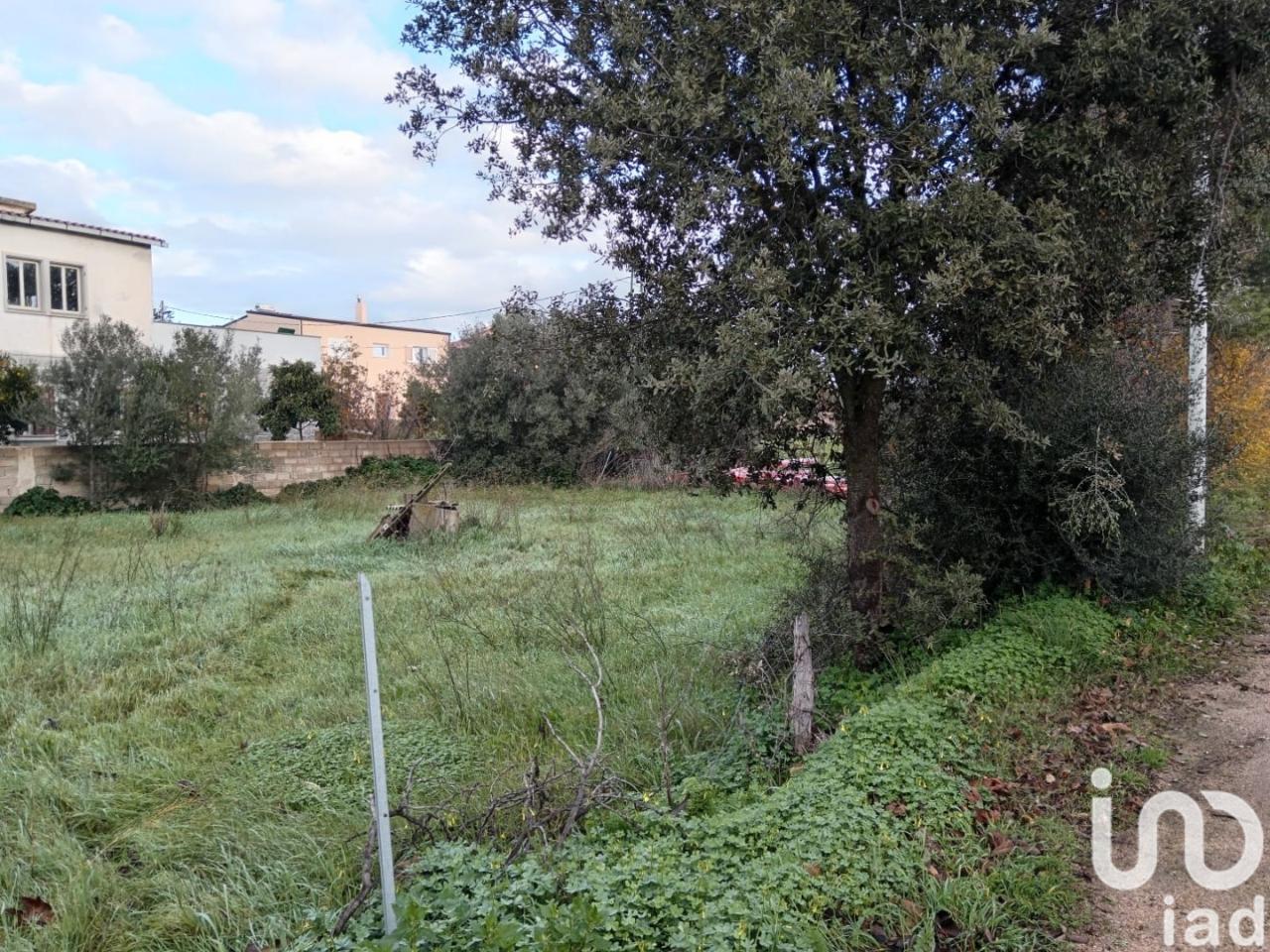 immagine annuncio 8 di 9