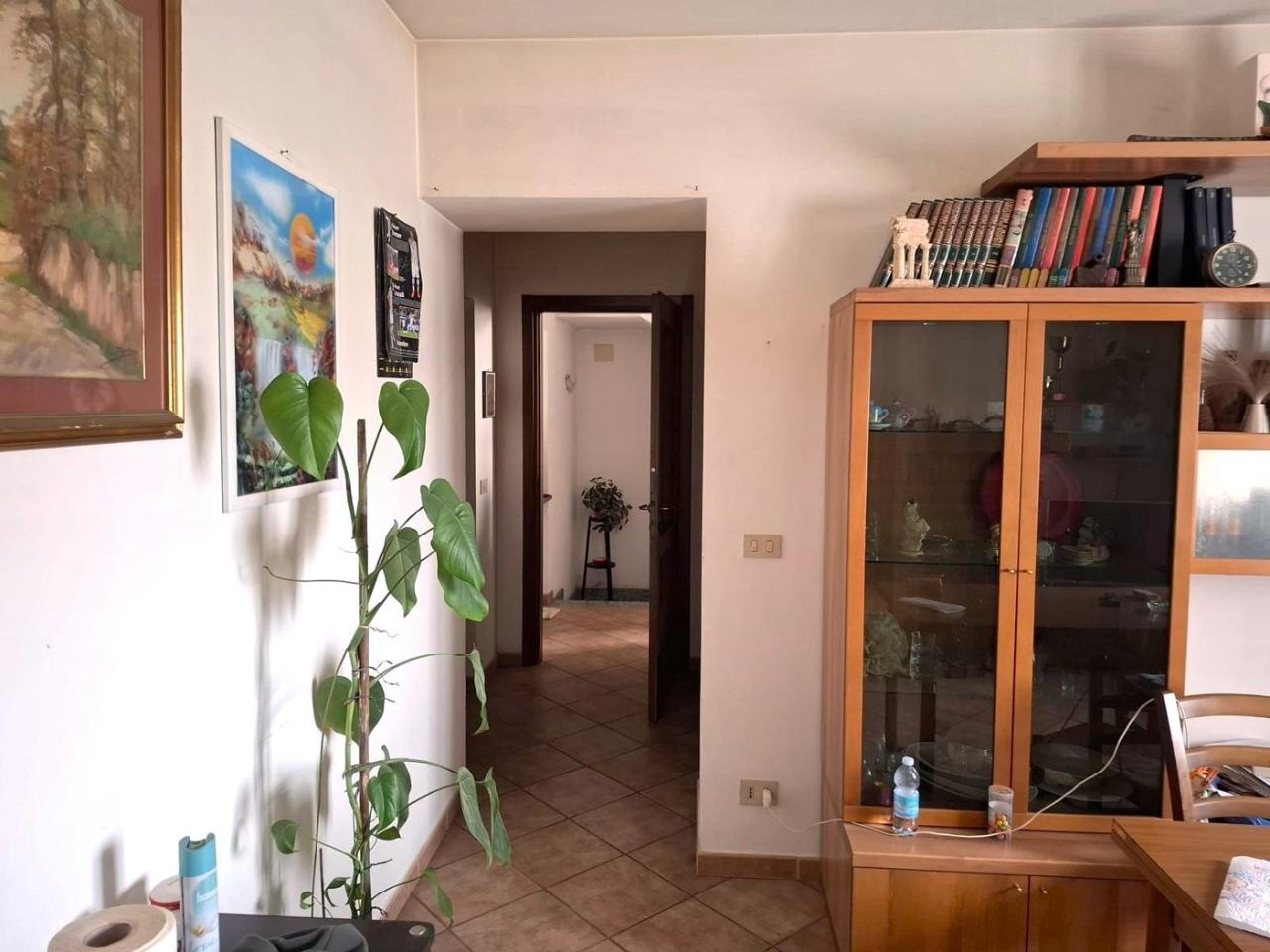 immagine annuncio 4 di 13