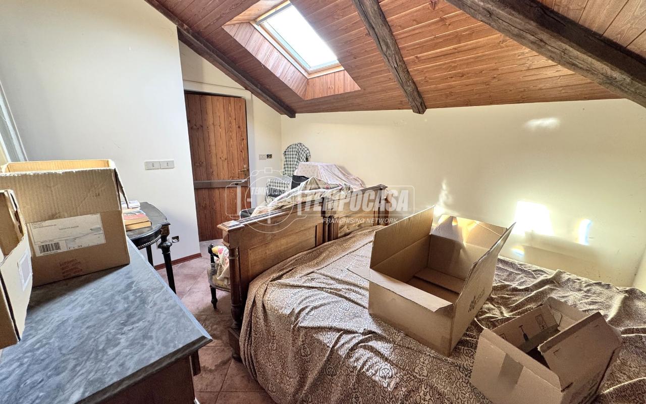 immagine annuncio 12 di 14