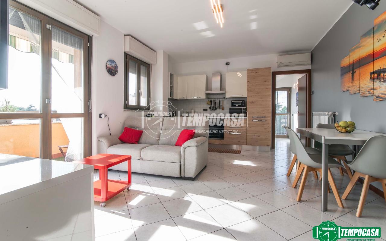 immagine annuncio 5 di 15