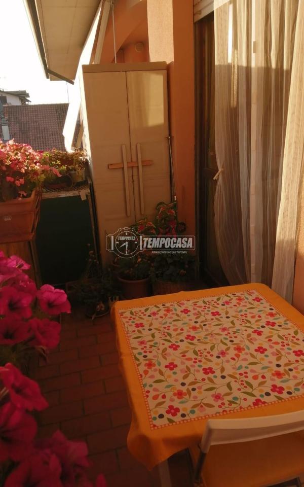 immagine annuncio 4 di 9