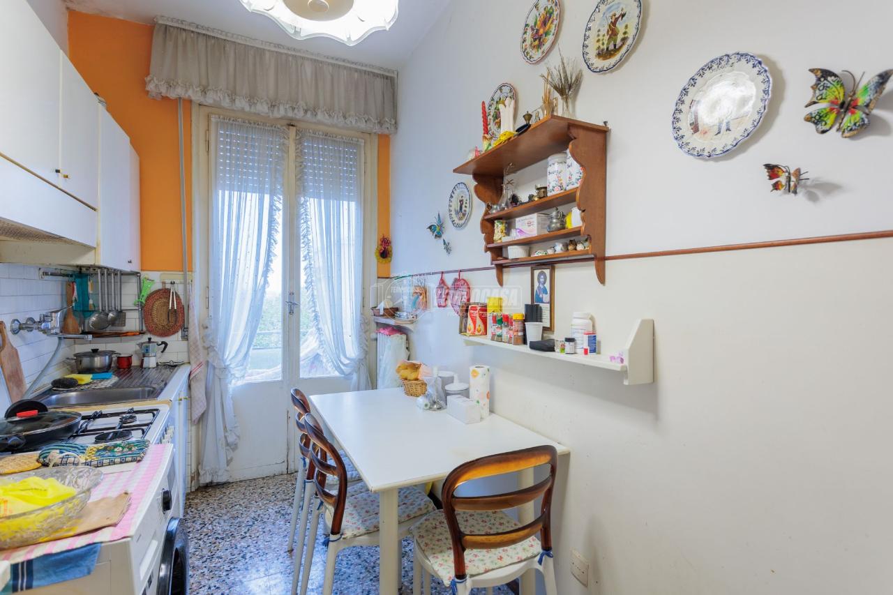 immagine annuncio 3 di 14