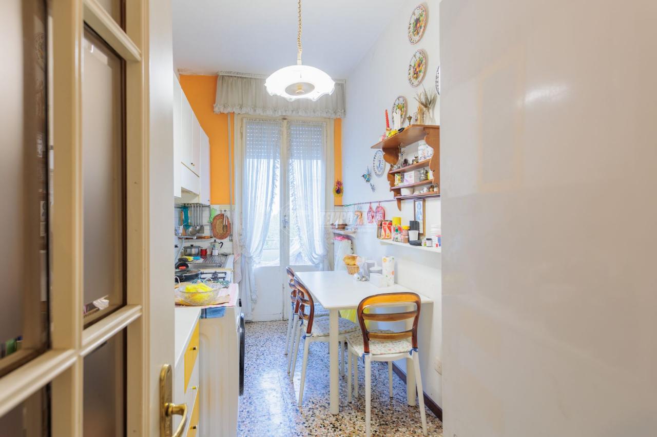 immagine annuncio 5 di 14