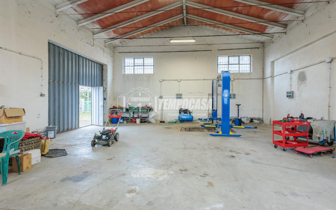 immagine annuncio 9 di 15