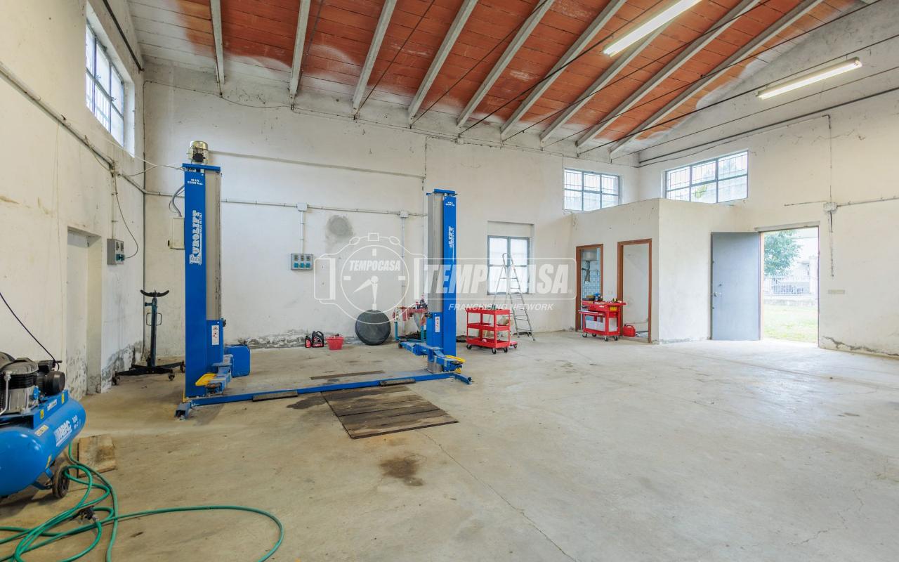 immagine annuncio 13 di 15