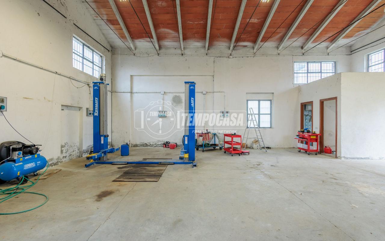 immagine annuncio 12 di 15