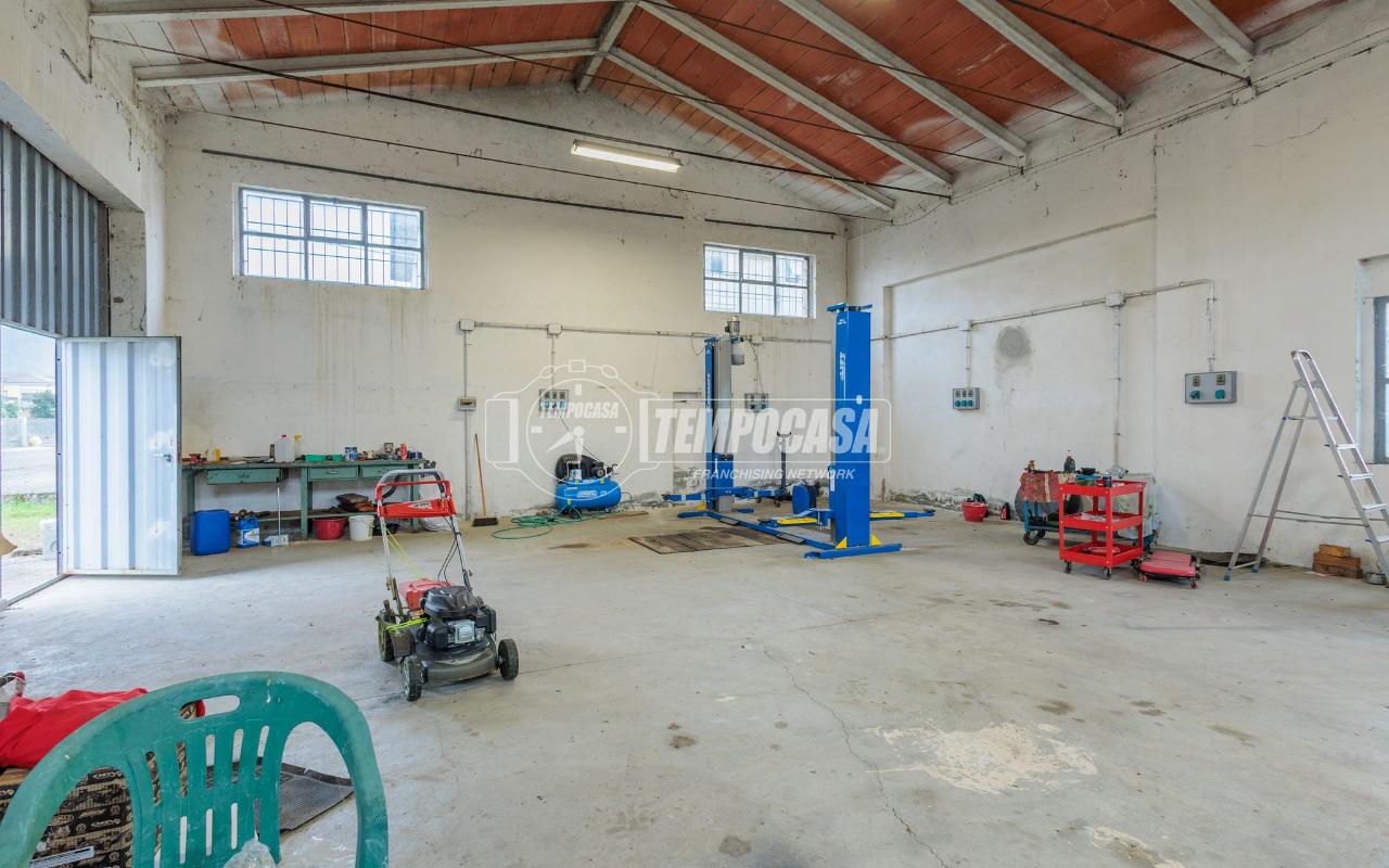 immagine annuncio 10 di 15