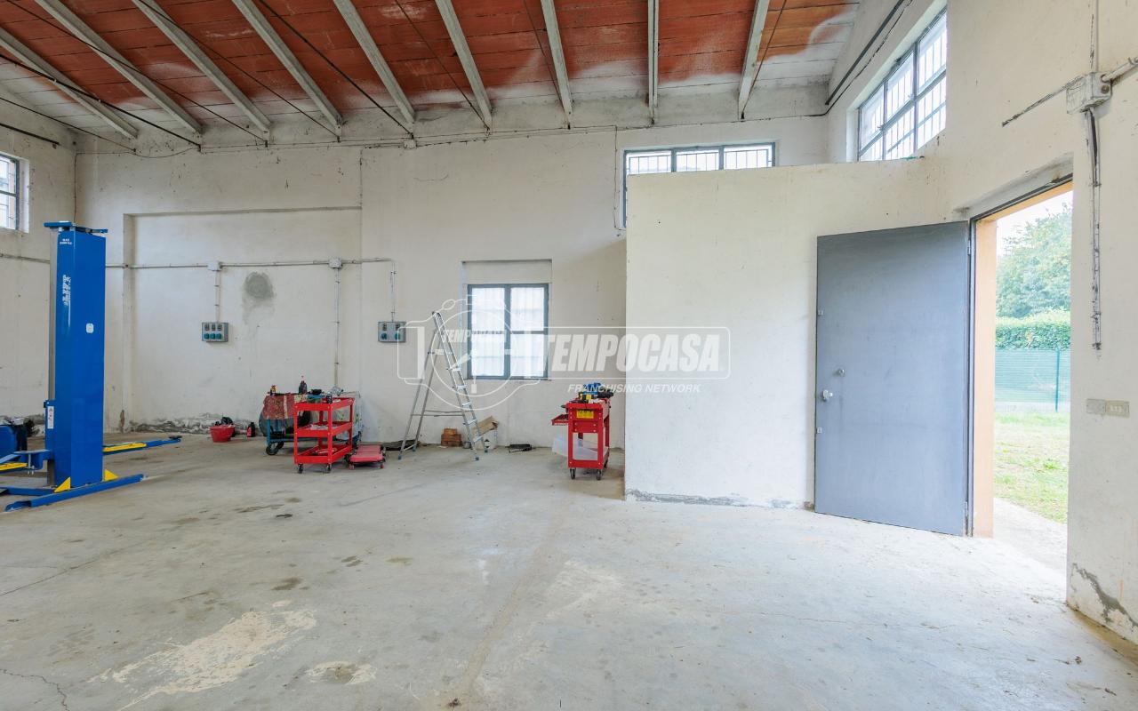 immagine annuncio 11 di 15