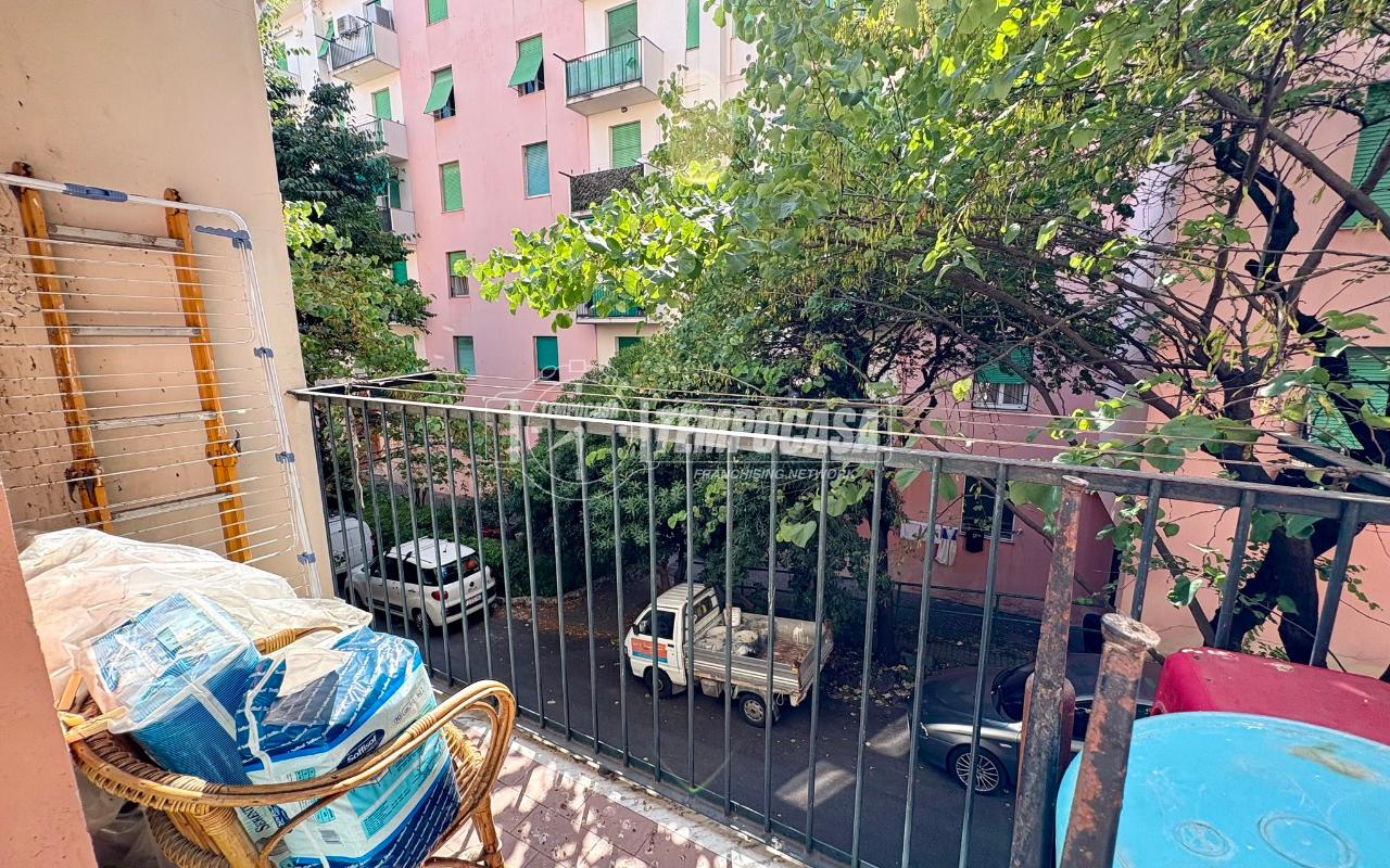 immagine annuncio 6 di 14