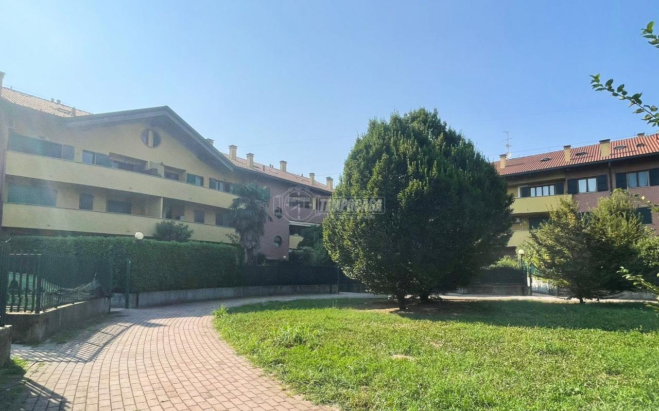immagine annuncio 12 di 15