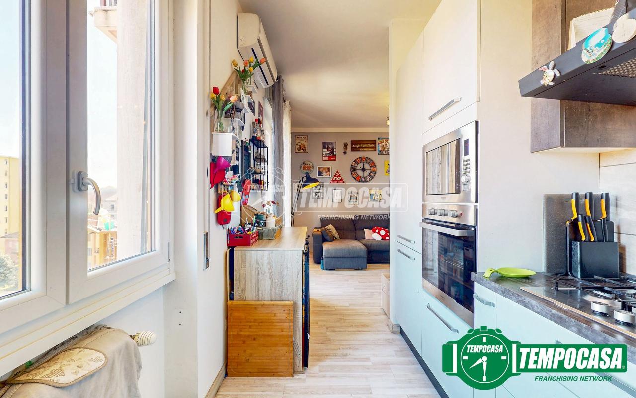 immagine annuncio 6 di 15