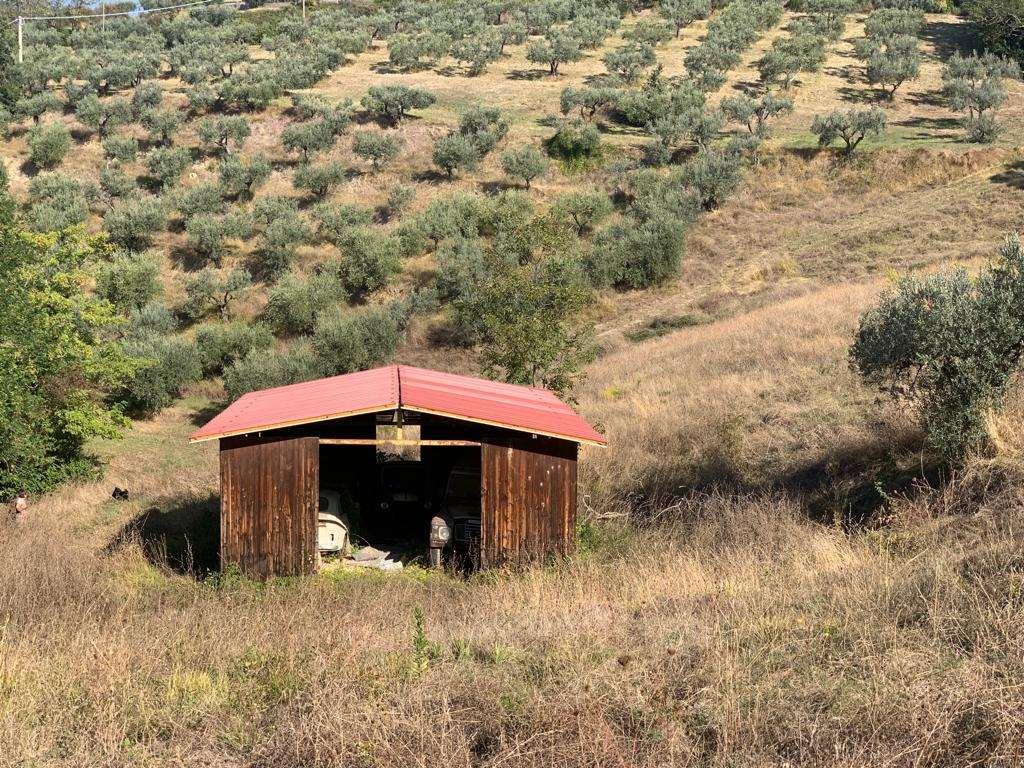 Rustico in vendita a Assisi