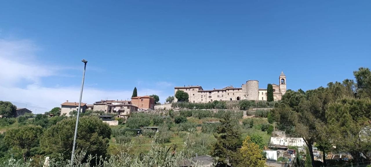 immagine annuncio 10 di 14