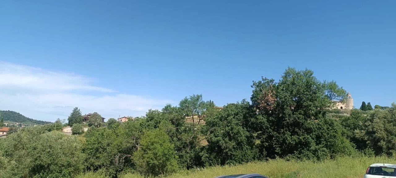 immagine annuncio 7 di 14