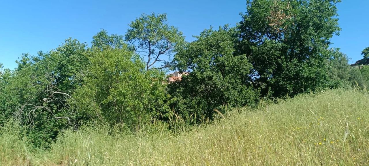 immagine annuncio 3 di 14