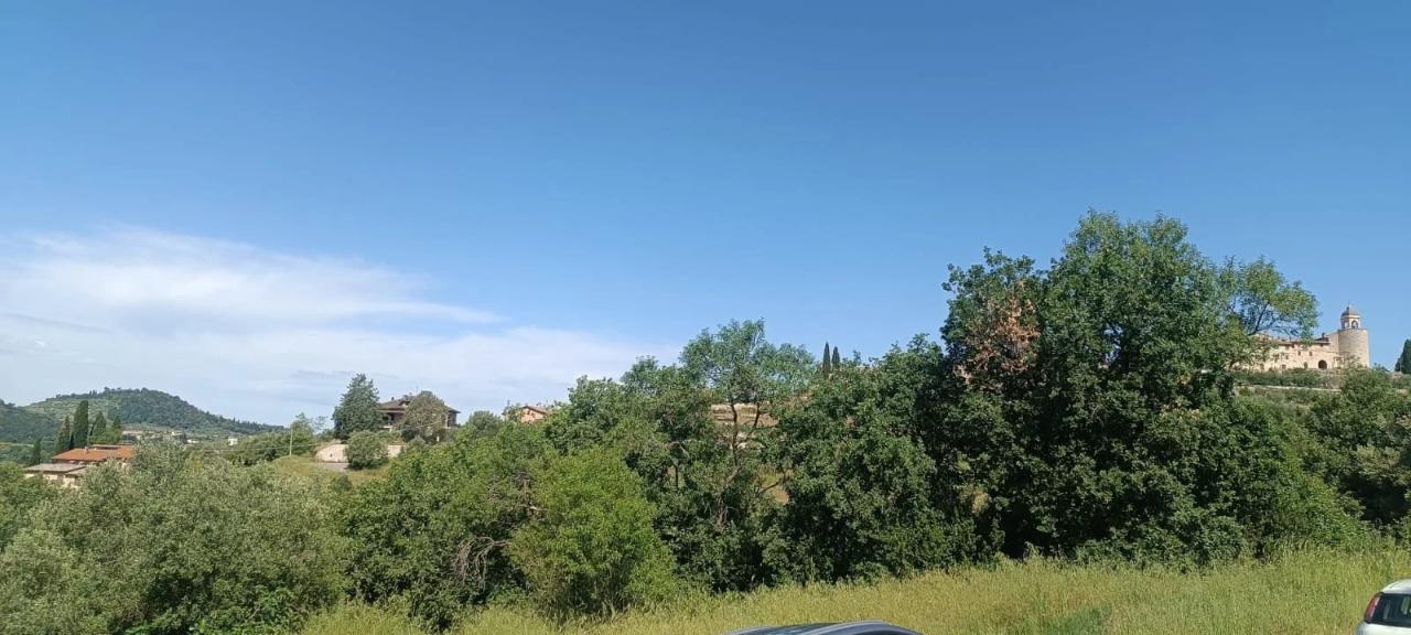 immagine annuncio 5 di 14