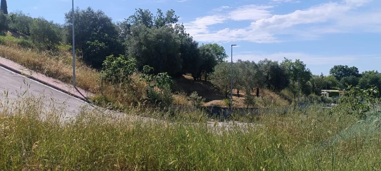 immagine annuncio 4 di 14