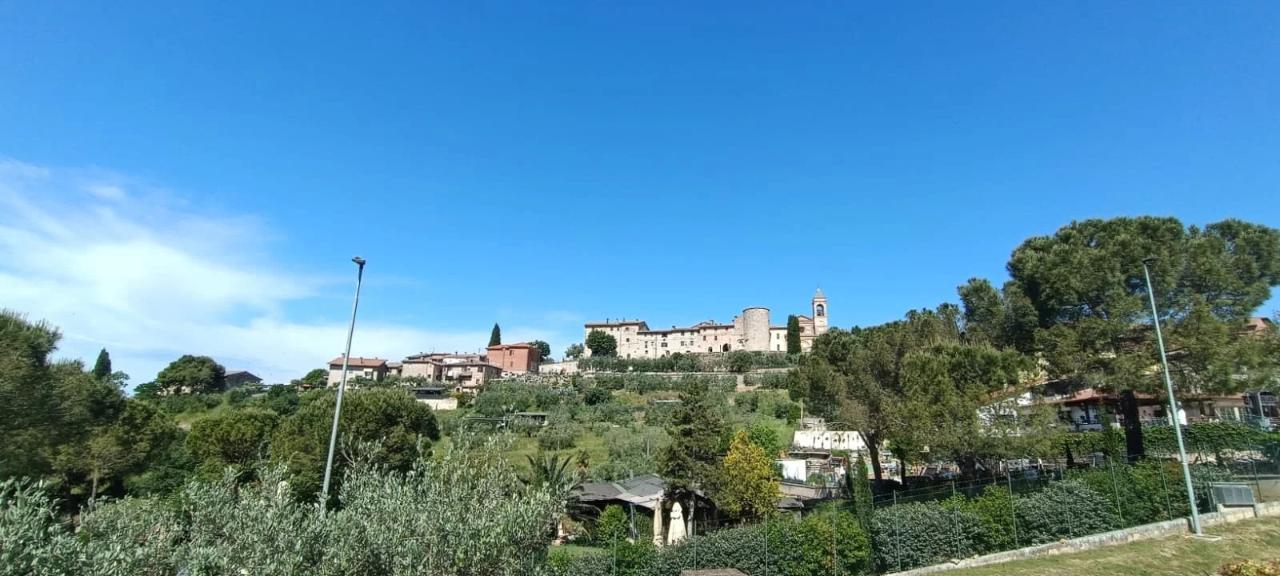 immagine annuncio 11 di 14