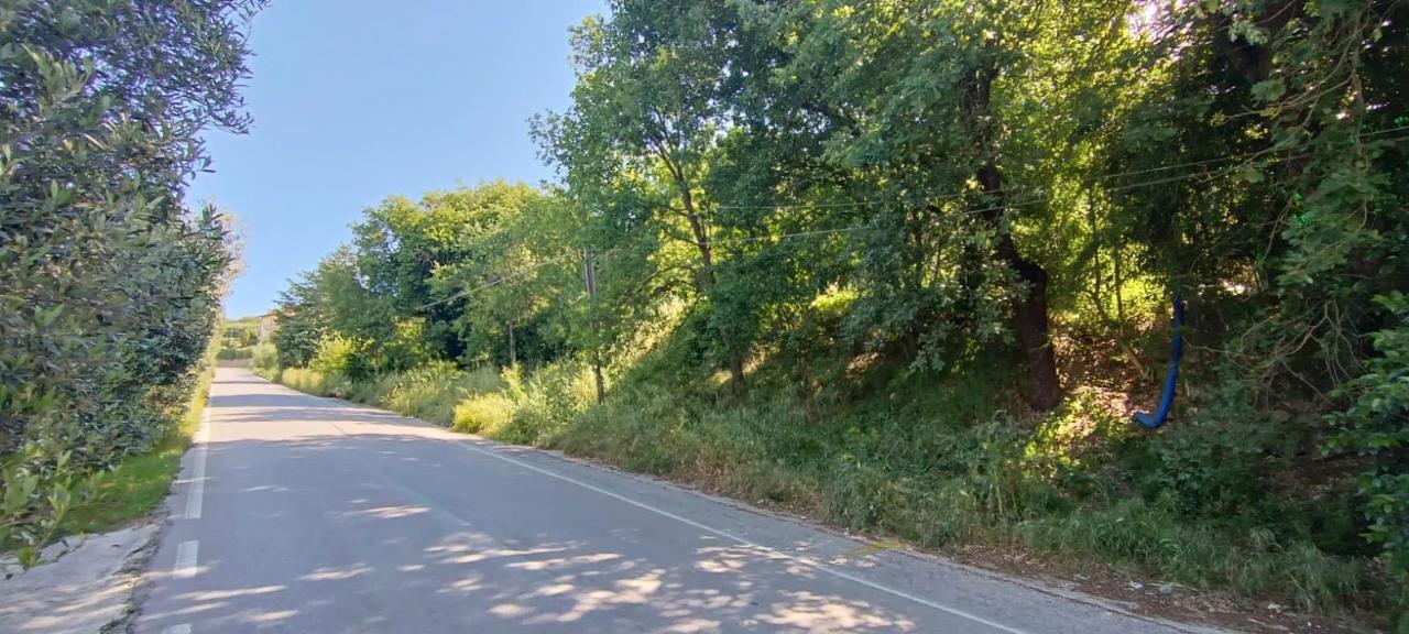 immagine annuncio 12 di 14