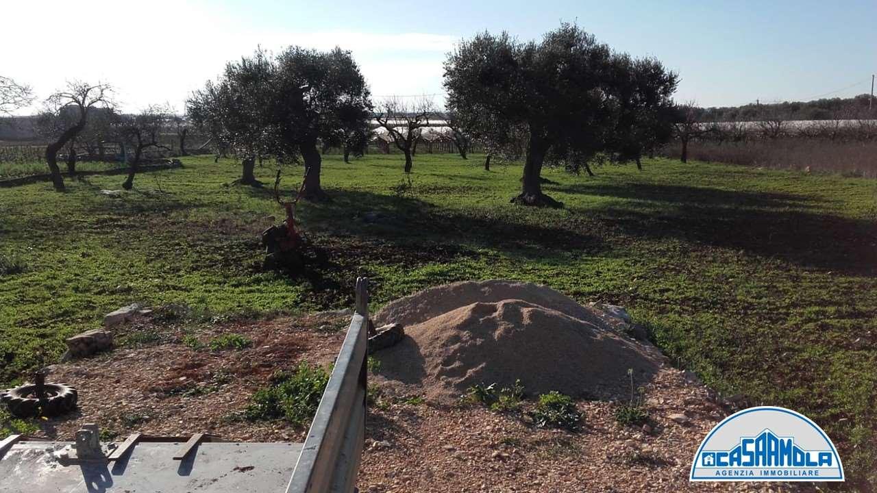 Terreno agricolo in vendita a Mola Di Bari